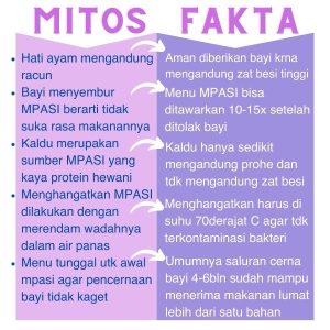 Fakta Dan Mitos Seputar Mpasi Panduan Lengkap Untuk Orang Tua Bijak