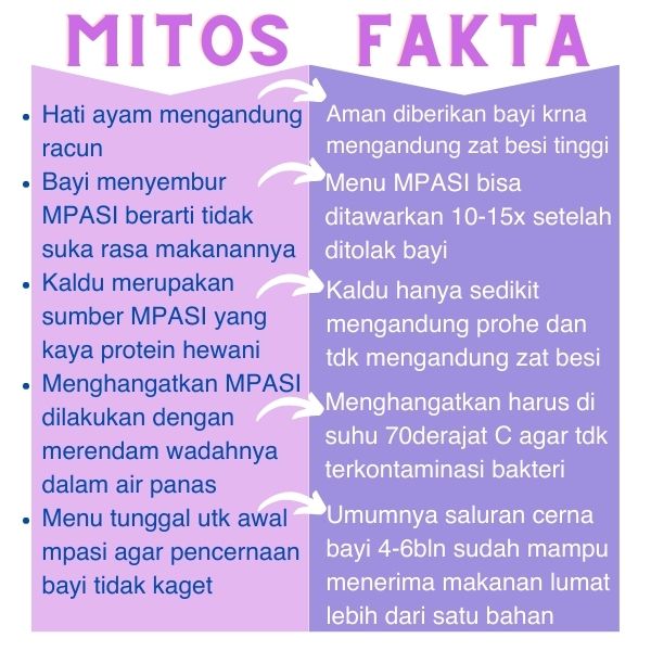 Fakta Dan Mitos Seputar Mpasi Panduan Lengkap Untuk Orang Tua Bijak