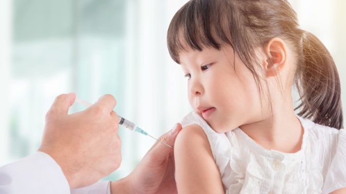 Panduan Orang Tua Memahami Tk Dan Sd Menjelajahi Dunia Pendidikan Awal Anak