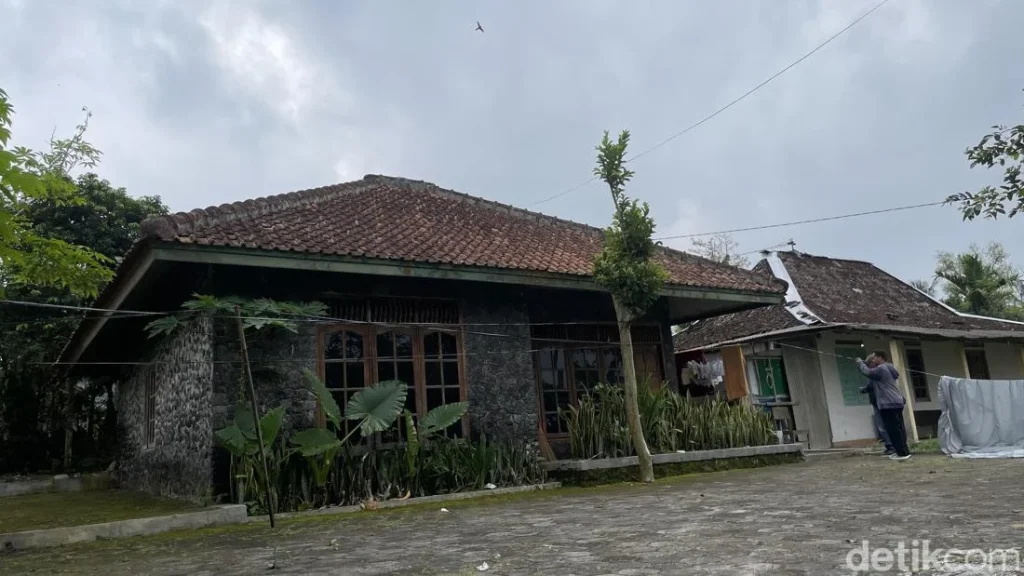 11 Bayi Dievakuasi Dari Rumah Bidan Di Sleman Tiga Dirawat Di Rs