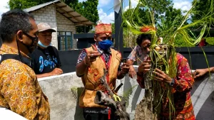 Dayak Tomun Pangkalan Bun Buka Sekolah Adat Basangiang Lestarikan Budaya Leluhur