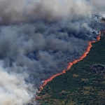 Kebakaran Hutan Mengganas Di Prancis Spanyol 160 Ribu Warga Dievakuasi