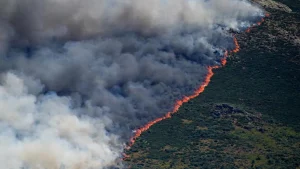 Kebakaran Hutan Mengganas Di Prancis Spanyol 160 Ribu Warga Dievakuasi