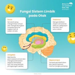 Kenapa Seseorang Bisa Mengalami Alexithymia Atau Sulit Merasakan Emosi