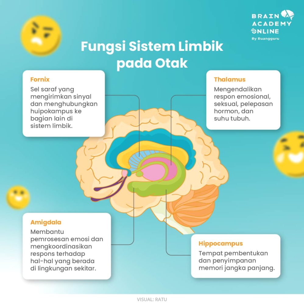 Kenapa Seseorang Bisa Mengalami Alexithymia Atau Sulit Merasakan Emosi