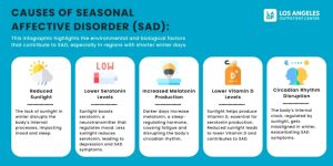 Kenapa Seseorang Bisa Mengalami Season Affective Disorder Sad